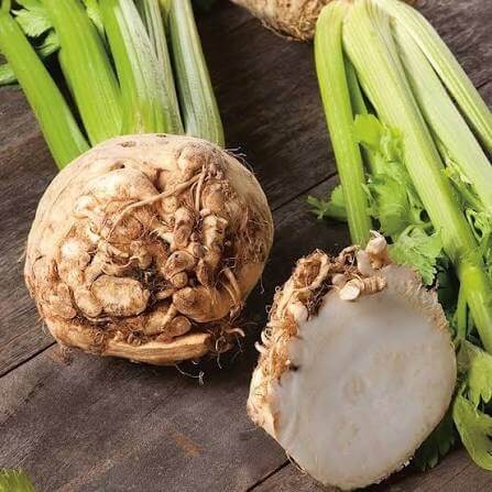Root Celeriac Seeds 