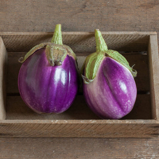 Rosa Eggplant Seeds - Heirloom Vegetable Plant for Home Gardens
