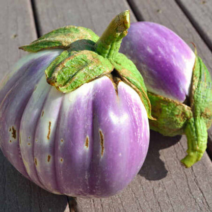 Rosa bianca eggplant seeds - Vegetable Plant