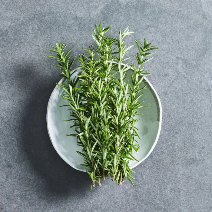 Rosemary Seeds - Herbal Plant
