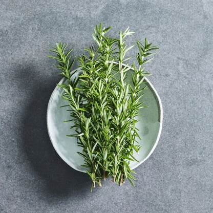 Rosemary Seeds - Herbal Plant