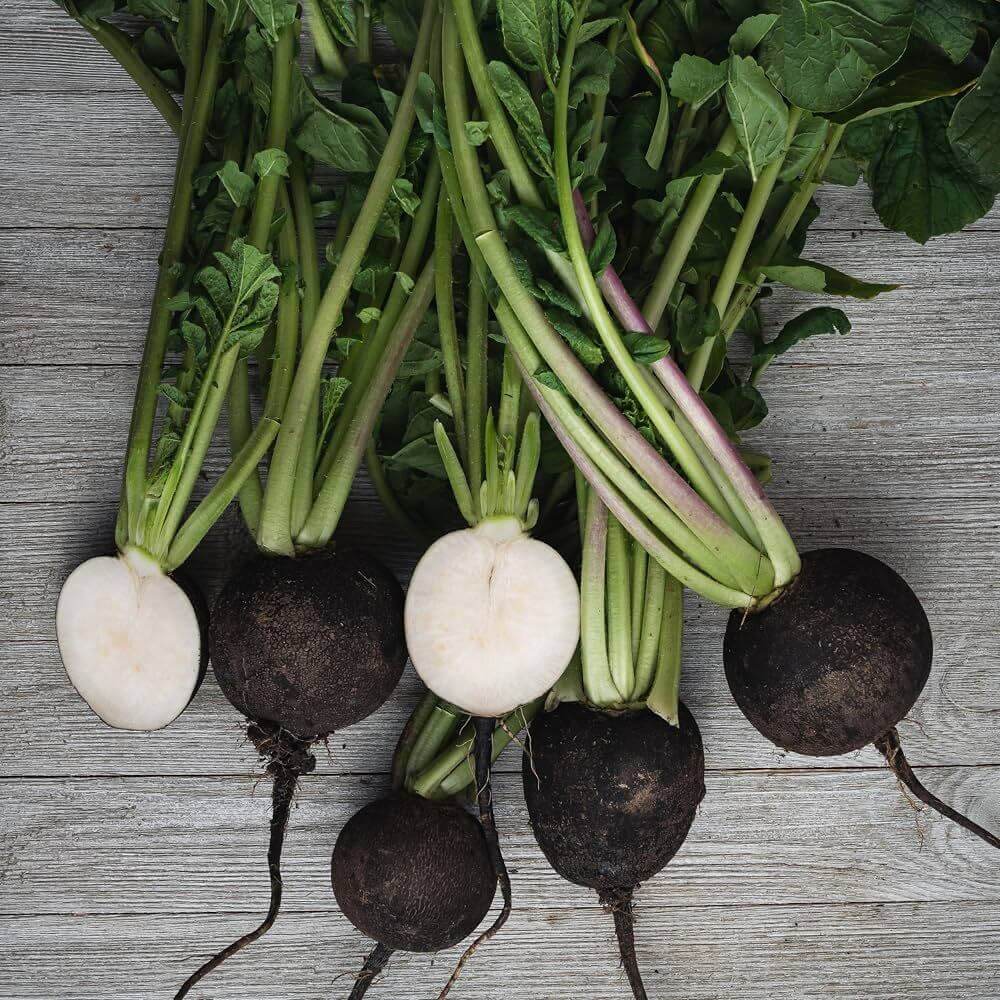 Round Black Radish Seeds