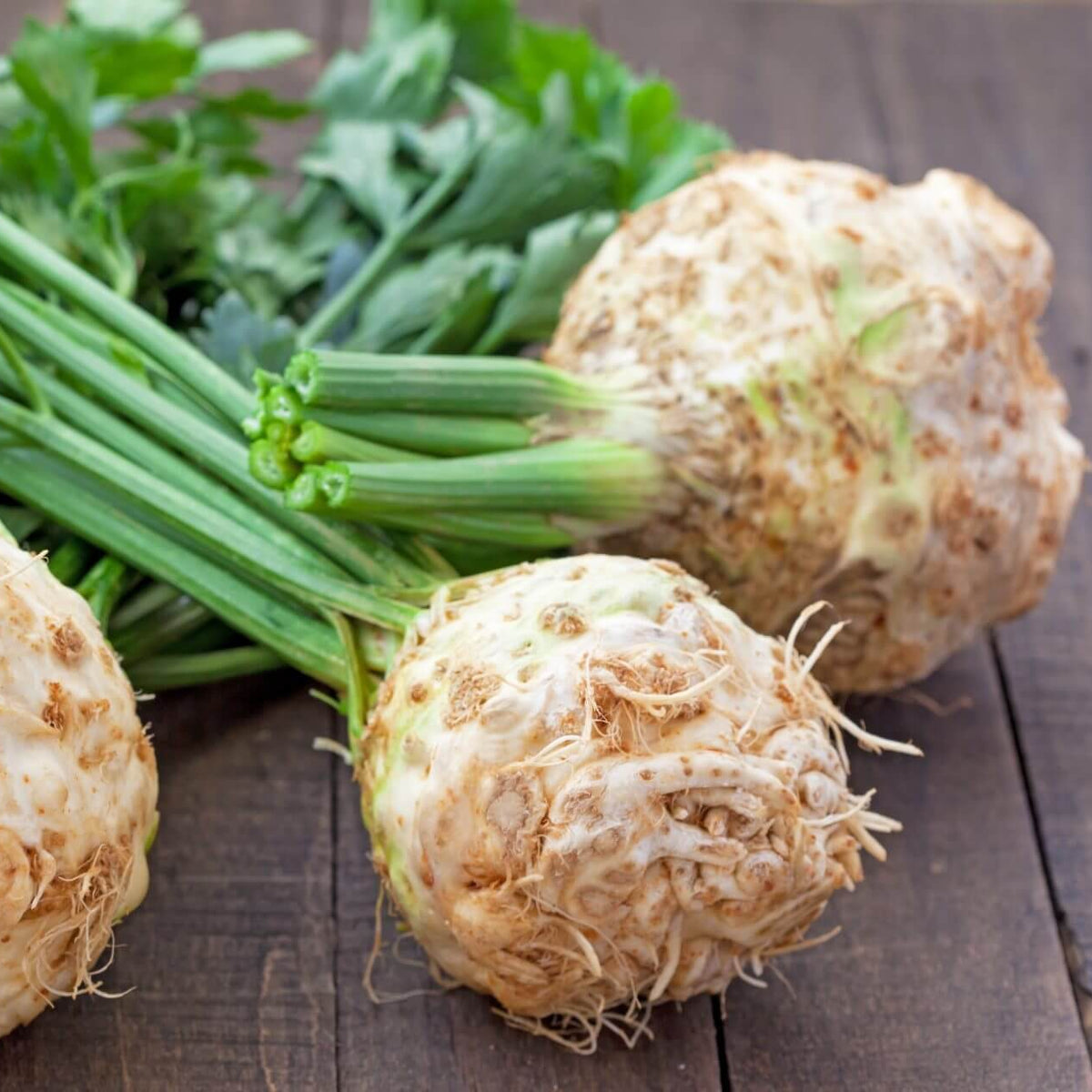 Round Root Celeriac Seeds