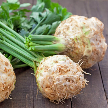 Round Root Celeriac Seeds