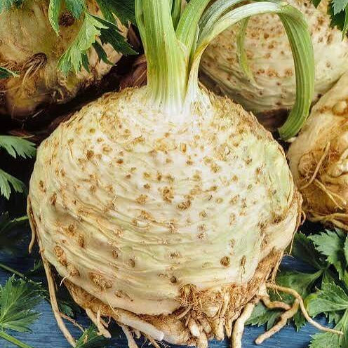 Round Root Celeriac Seeds