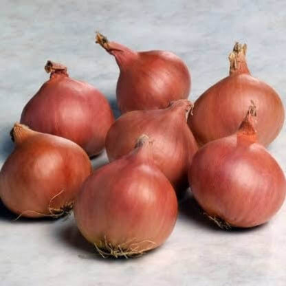 Round Shallot Seeds 