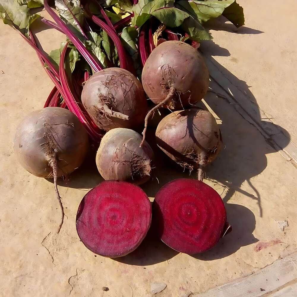 Ruby Queen Beet Seeds