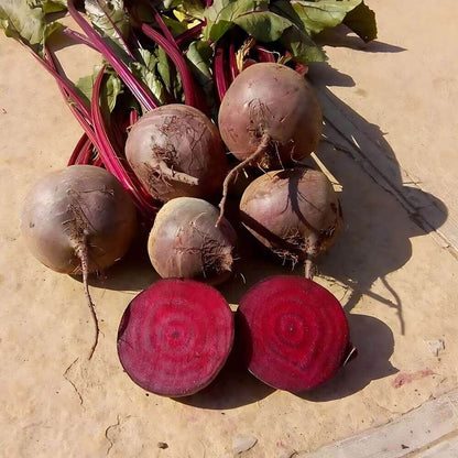Ruby Queen Beet Seeds