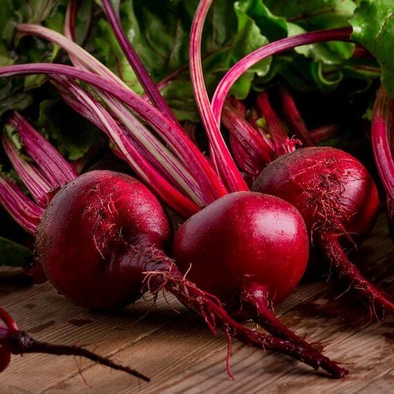 Ruby Queen Beet Seeds