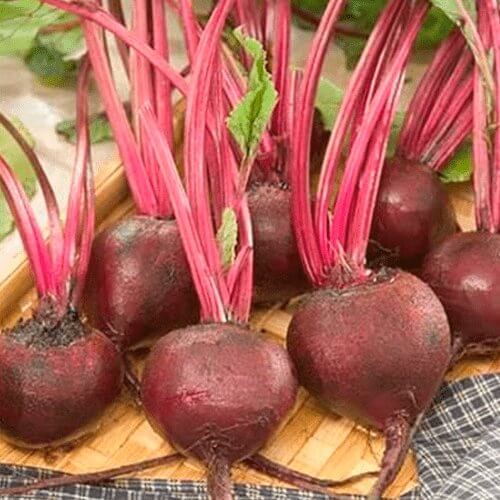 Ruby Queen Beet Seeds