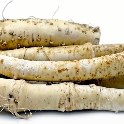 Russian Horseradish Seeds 