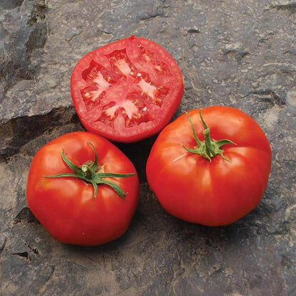  Rutgers tomato seeds - Vegetable Plant