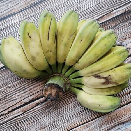 Saba Banana Seeds