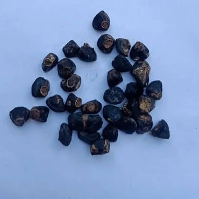 Saba Banana Seeds
