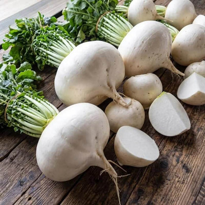 Sakurajima Daikon Seeds 