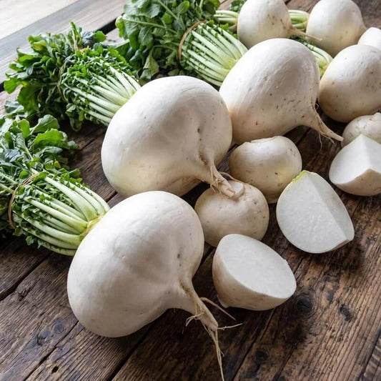 Sakurajima Daikon Seeds 