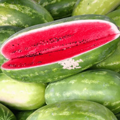 Sangria Watermelon Seeds 