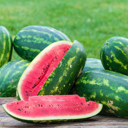 Sangria Watermelon Seeds 