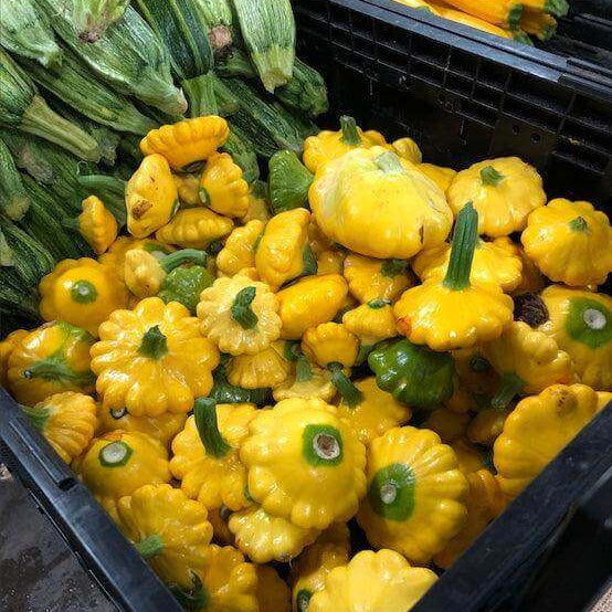 Scallop Squash Seeds - Vegetable Plant