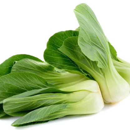 Sea Green Choi Bok Choy Seeds