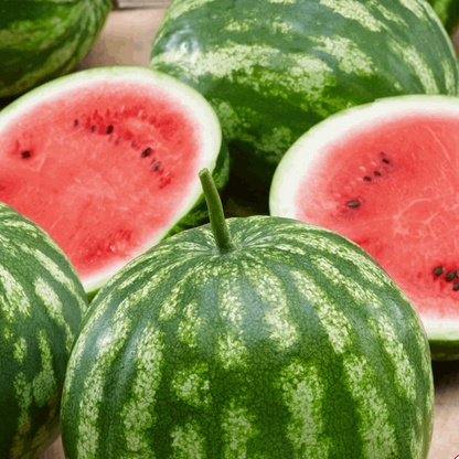 Seedless Watermelon Seeds - Fruit Plant