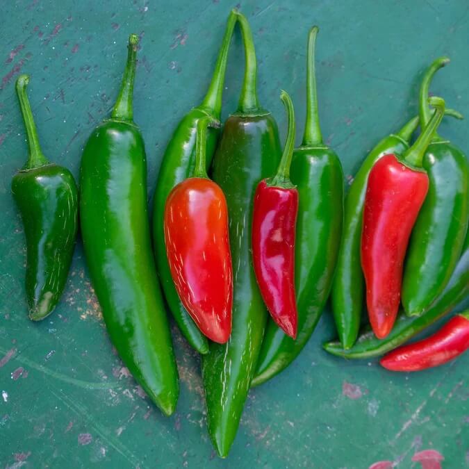 Serrano chili pepper seeds - Vegetable Plant