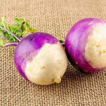 Seven top turnip seeds - Vegetable Plant
