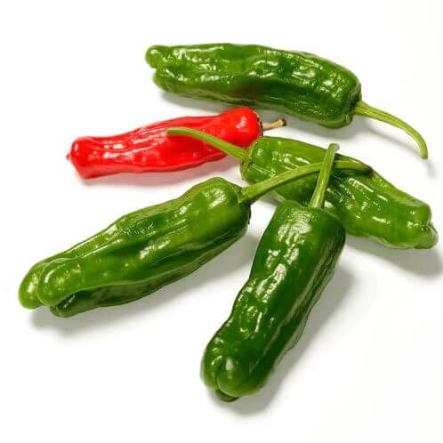 Shishito Pepper Seeds for Sale - Heirloom Vegetable Plant for Home Gardens