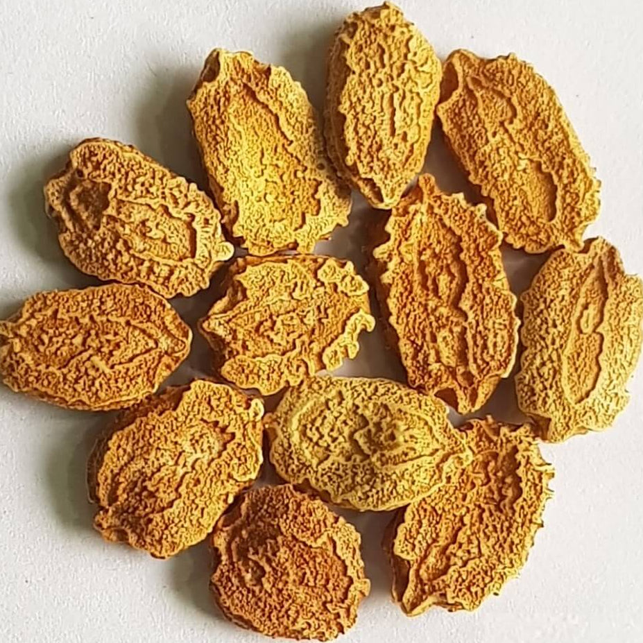 Short Bitter Gourd Seeds