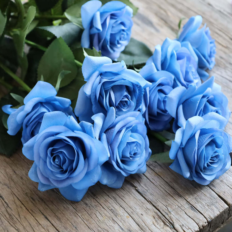 Sky Blue Desert Rose Seeds - Flower Plant