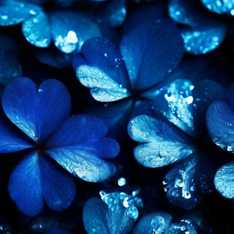 Sky Blue Leaf Clover Seeds - Flower Plant