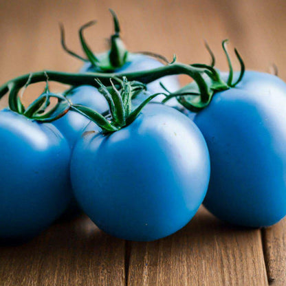 Sky Blue Tomato Seeds 