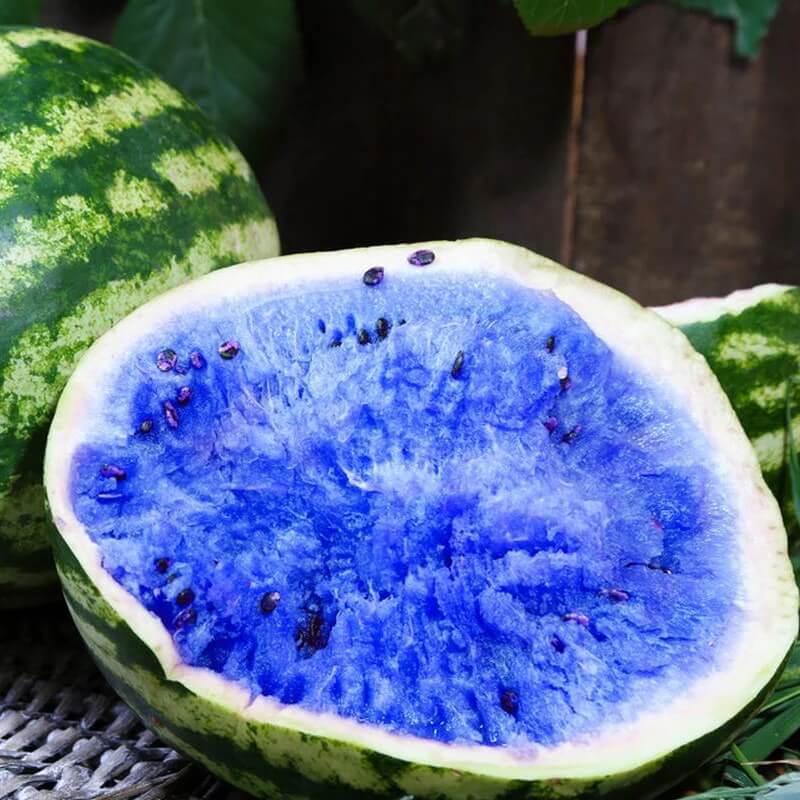 Sky Blue Watermelon Seeds 