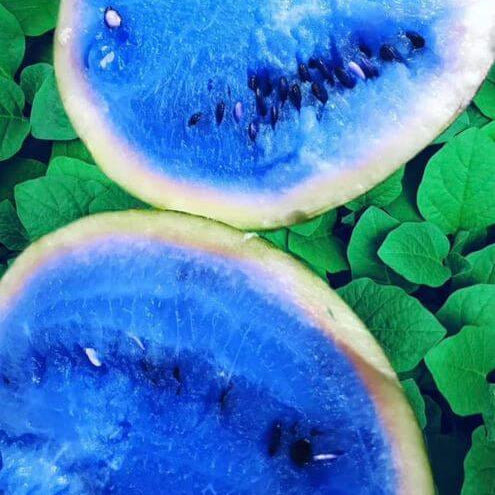 Sky Blue Watermelon Seeds 