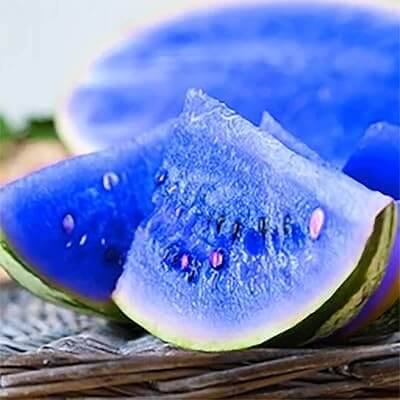 Sky Blue Watermelon Seeds 