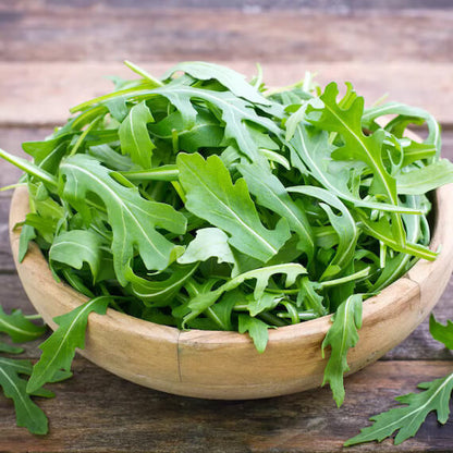 Slow bolt arugula seeds - Vegetable Plant