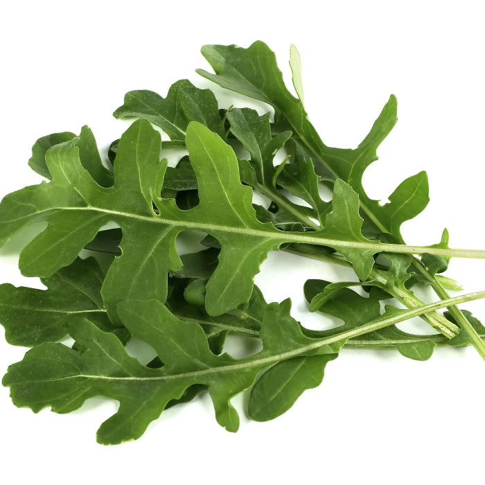 Slow bolt arugula seeds - Vegetable Plant