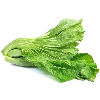 Small Gai Choi Seeds