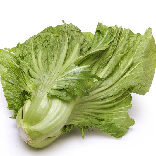 Small Gai Choi Seeds
