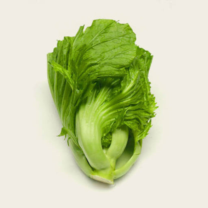 Small Gai Choi Seeds