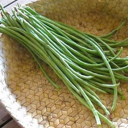 Snake Beans Seeds