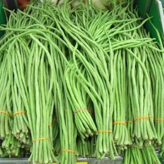 Snake Beans Seeds