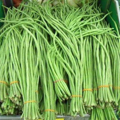 Snake Beans Seeds