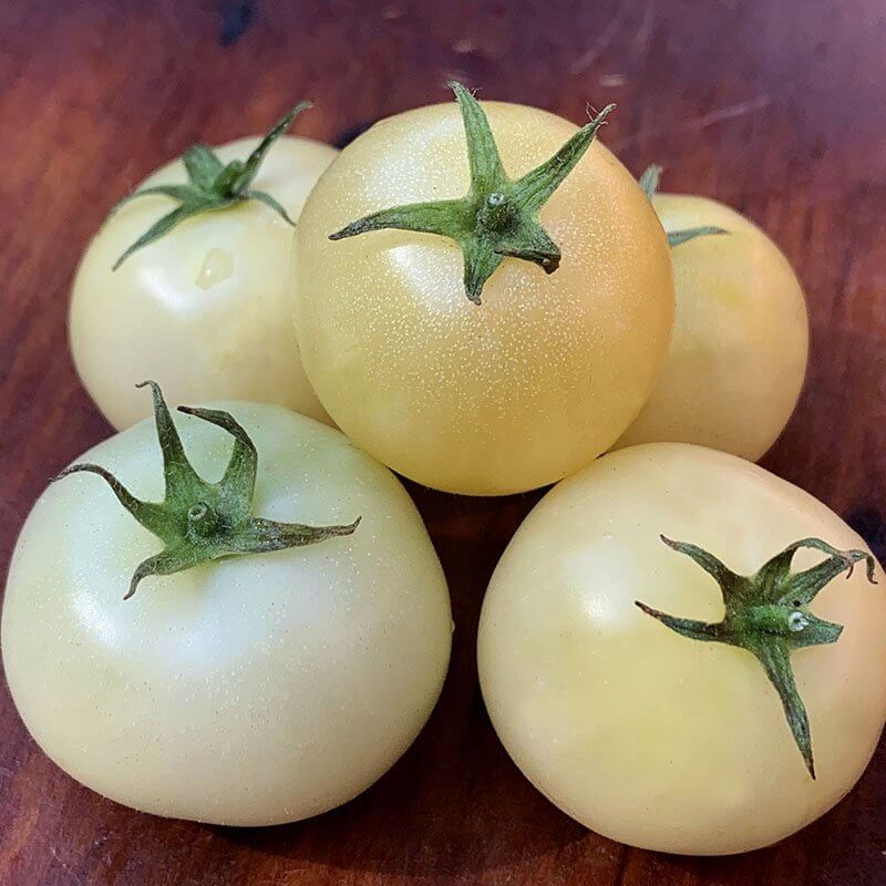 Snow White Tomato Seeds