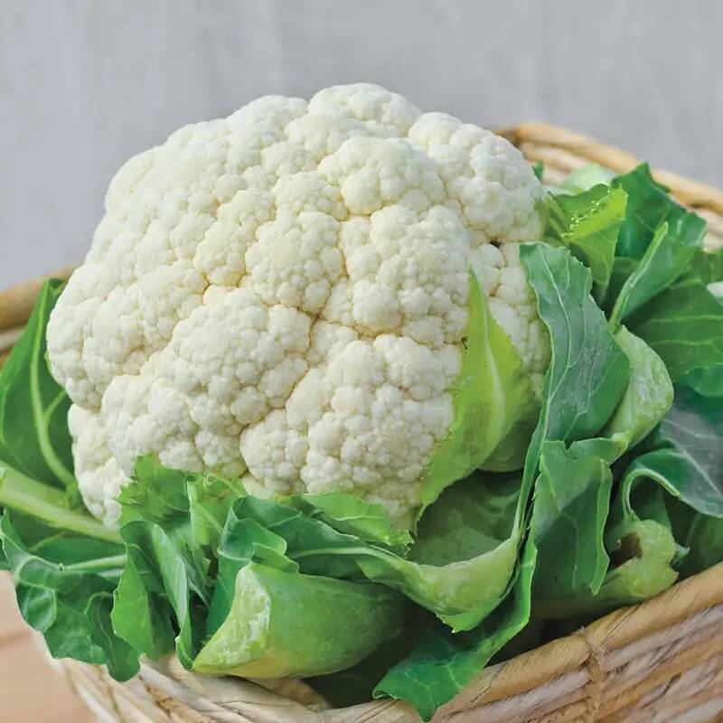 Snow crown cauliflower seeds - Vegetable Plant