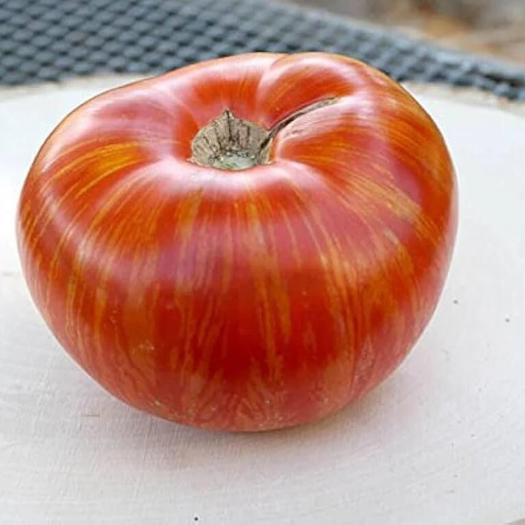 Solar Fire Tomato Seeds - Vegetable Plant