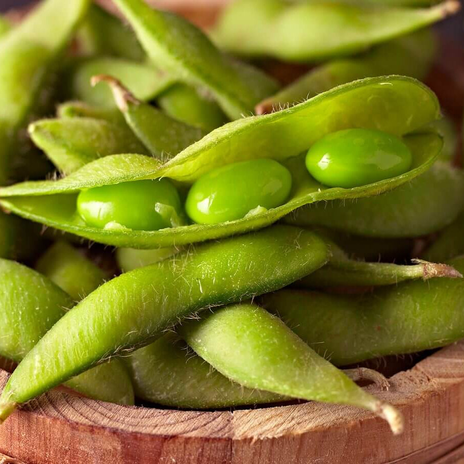 Soybean Seeds
