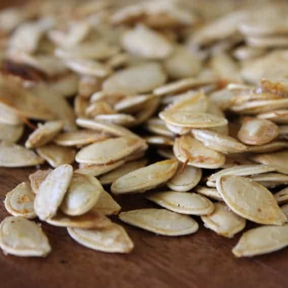 Speckled Hound Pumpkin Seeds