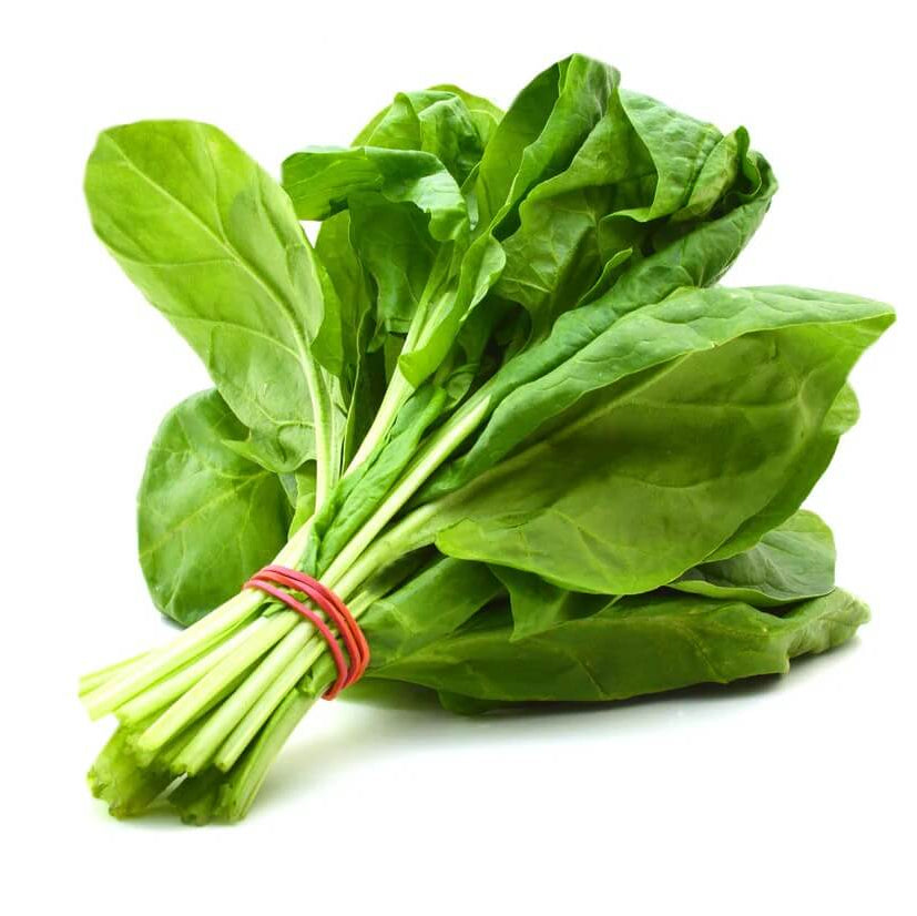 Spinach seeds - Vegetable Plant