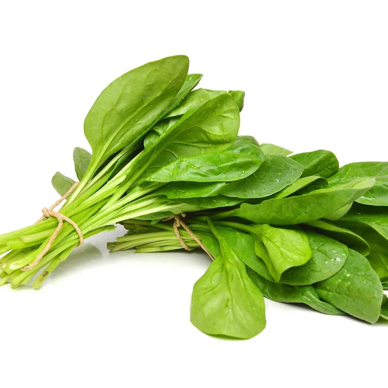 Spinach seeds - Vegetable Plant